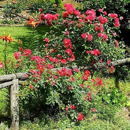 Il Casale Delle Pianacce 3*