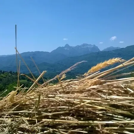Il Casale Delle Pianacce * Castiglione di Garfagnana